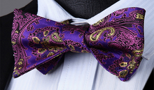 Load image into Gallery viewer, Purple and Gold Paisley Cummerbund Set