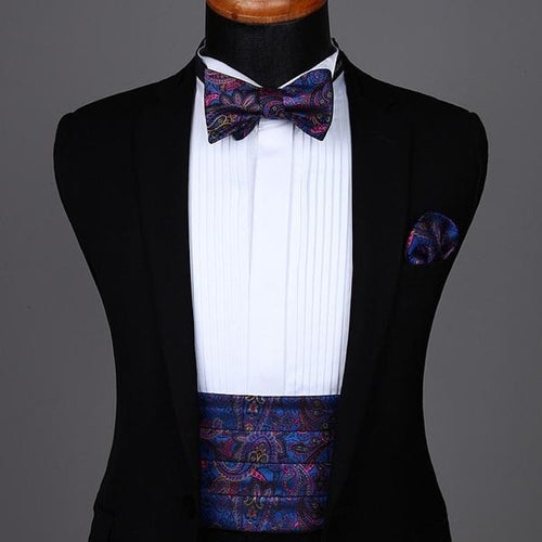 Blue and Pink Paisley Cummerbund Set