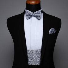 Load image into Gallery viewer, Platinum Paisley Cummerbund Set