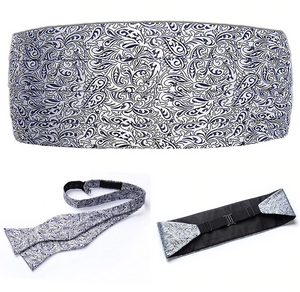 Platinum Paisley Cummerbund Set