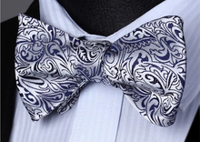 Load image into Gallery viewer, Platinum Paisley Cummerbund Set