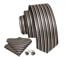 Load image into Gallery viewer, Titanium Striped Tie Set