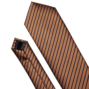 Blue and Bronze Striped Tie Set