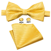 Load image into Gallery viewer, Bumblebee Striped Bow Tie Set