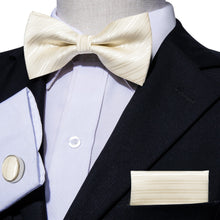 Load image into Gallery viewer, Ivory Striped Bow Tie Set