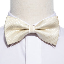 Load image into Gallery viewer, Ivory Striped Bow Tie Set