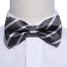 Load image into Gallery viewer, Black and Silver Striped Bow Tie Set
