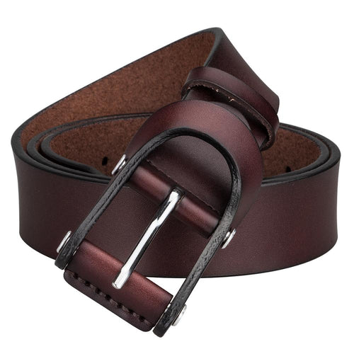 Brown Cherry Pin Buckle Belt
